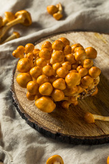 Raw Organic Nameko Mushrooms