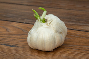 A Head of Garlic on a Wooden Table