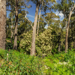 Hanging rock-a mystical place in Australia, Victoria
