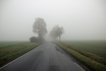 Nebel auf der Straße 