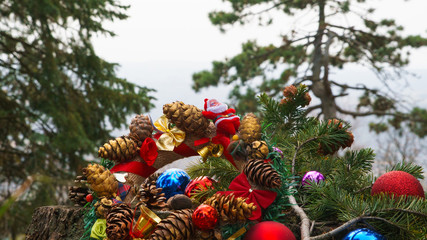 Outdoor Christmas decoration