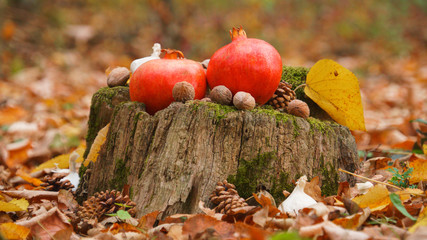 Pomegranate with autumn setup