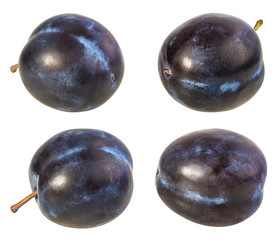 Fresh plum isolated on white background with clipping path
