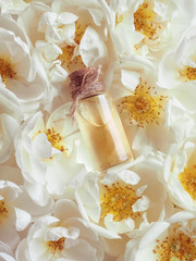 Arabian oud attar perfume or agarwood oil fragrances in mini bottle
