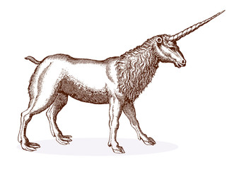 Fototapeta premium Standing goat-like unicorn with a mane in side view. Illustration after a historical engraving from the 17th century. Easy editable in layers