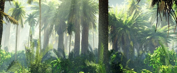 Keuken spatwand met foto Jungle in de mist ochtend, palmbomen in de nevel, 3D-rendering © ustas