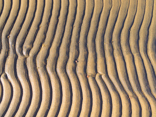 Beautiful natural wave pattern in the sea bottom sand
