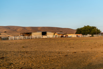 typical american horse farm