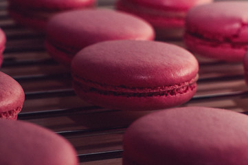 Strawberry macarons close-up photo
