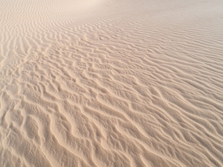 Beautiful dune of Parnaíba, Brazil. 