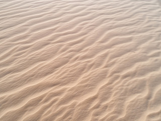 Beautiful dune of Parnaíba, Brazil. 