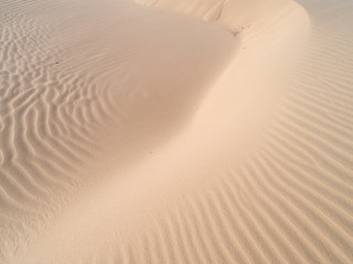 Beautiful dune of Parnaíba, Brazil. 