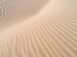 Amazing sand texture dune, pastel color, Brazil, Parnaíba.  