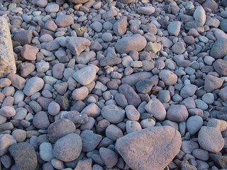 海岸の石