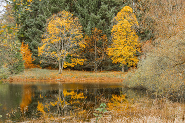 Reflections of a group of brightly coloured trees over a small lake in the Fall season