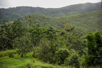 Fototapeta na wymiar landscape in Queensland Australia