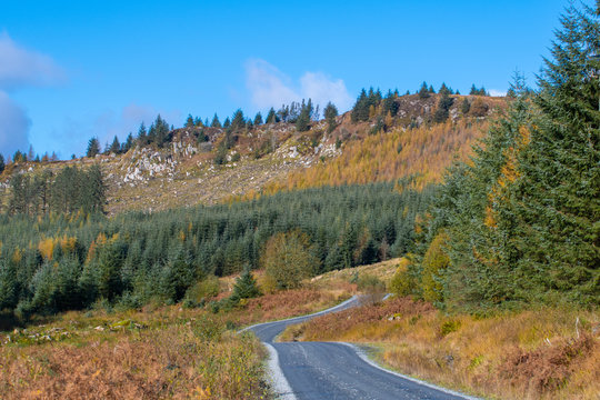 Views along the Raiders Road in the Galloway Forest Park during the autumn season