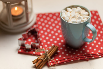 Hot drink. Cocoa chocolate with marshmallow. Winter concept