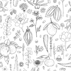 Botanical vector  pattern with hand drawn  plants . Organic cosmetics background.