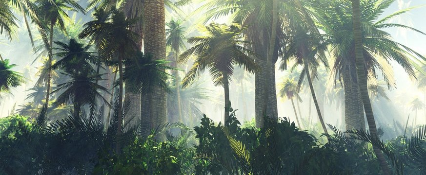 Fototapeta Jungle in the mist morning, palm trees in the haze,  3d rendering  