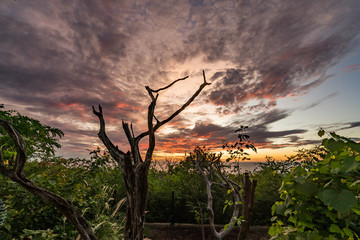 Sunset over the ocean Views around the Caribbean isalnd of Curacao