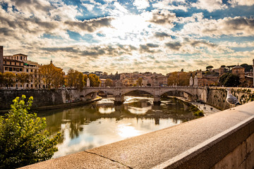 Fototapeta na wymiar A seagull on the wall of the Tiber, with the Vittorio Emanuele II Bridge in the background. At sunset, in Rome, in Italy