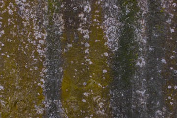 Aged stone texture with moss and lichen