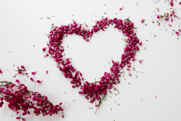 Herz aus pinken Blüten des Heidekrautes