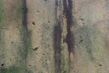 Aged stone texture with moss and lichen