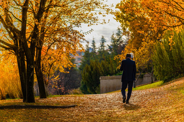 Man walking on the road (path, pathway, walkway) under trees in autumn in the garden of TBMM