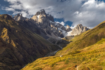 Obraz premium Beautiful mountain landscape with meadow and glacier
