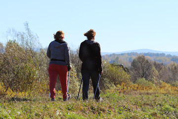 Two women of age are engaged in Nordic walking in nature in the autumn. Activity of older people for a healthy lifestyle. Sports events and outdoor activities. Improvement of the body in the sunligh.