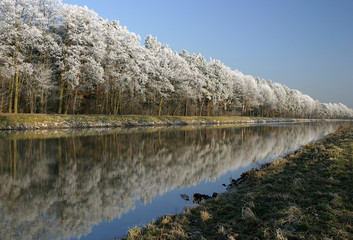 frostige bäume überzogen mit raureif im winter am OderHavel Kanal