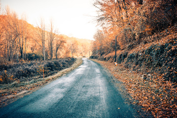 route de campagne au couleur de l'automne