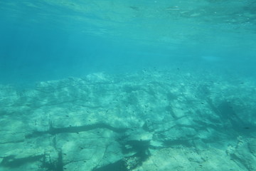 Fototapeta na wymiar The underwater world of the Mediterranean Sea of Crete