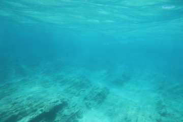 Fototapeta na wymiar The underwater world of the Mediterranean Sea of Crete