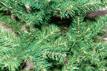  Chritmas tree branch 