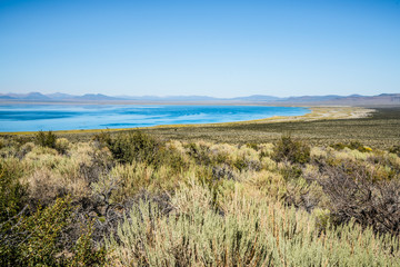mono lake desert california