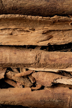 Cinnamon vernum chips