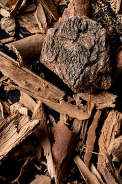 Cinnamon Vernum Chips from Zanzibar Archipelago, Tanzania