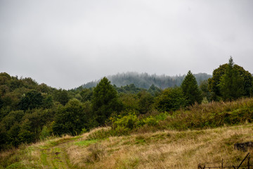 misty day in slovakia tatra mountains