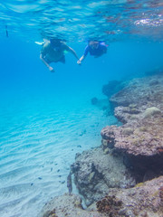 Naklejka na ściany i meble Snorkelling Views around the Caribbean isalnd of Curacao