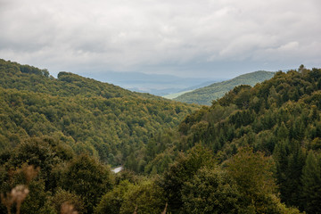Fototapeta na wymiar misty day in slovakia tatra mountains