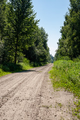 Fototapeta na wymiar simple countryside forest road in perspective