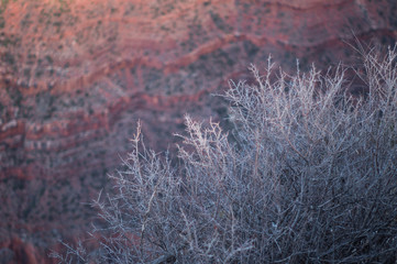 Grand Canyon South Rim