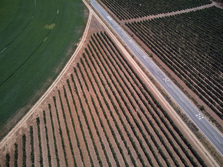 Aerial view of textures. Rows of soil with plantations. Pattern rows of furrows in a plowed field...