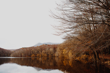 Lake and Trees Landscape in Autumn
