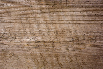 old wooden plank texture in direct sunlight