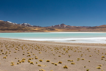 Atacama Desert, Chile. Salar Aguas Calientes. Lake Tuyacto. South America.