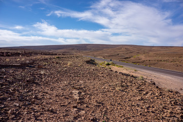simple countryside forest road in perspective